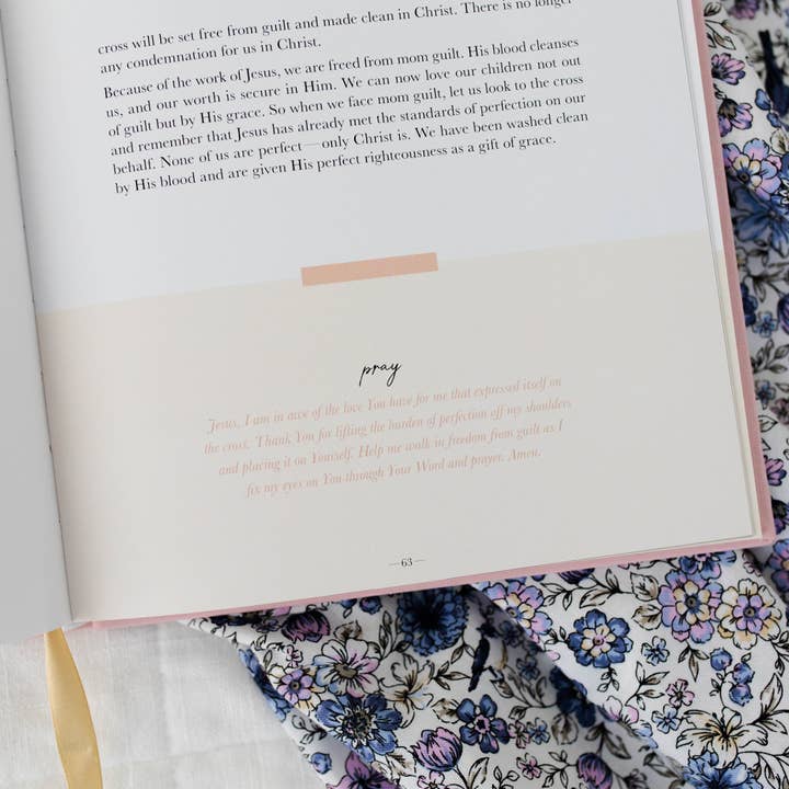 The Daily Grace Co - Wholesale Book - Adult - Steadfast Motherhood | 60 Days of Abiding in Christ
