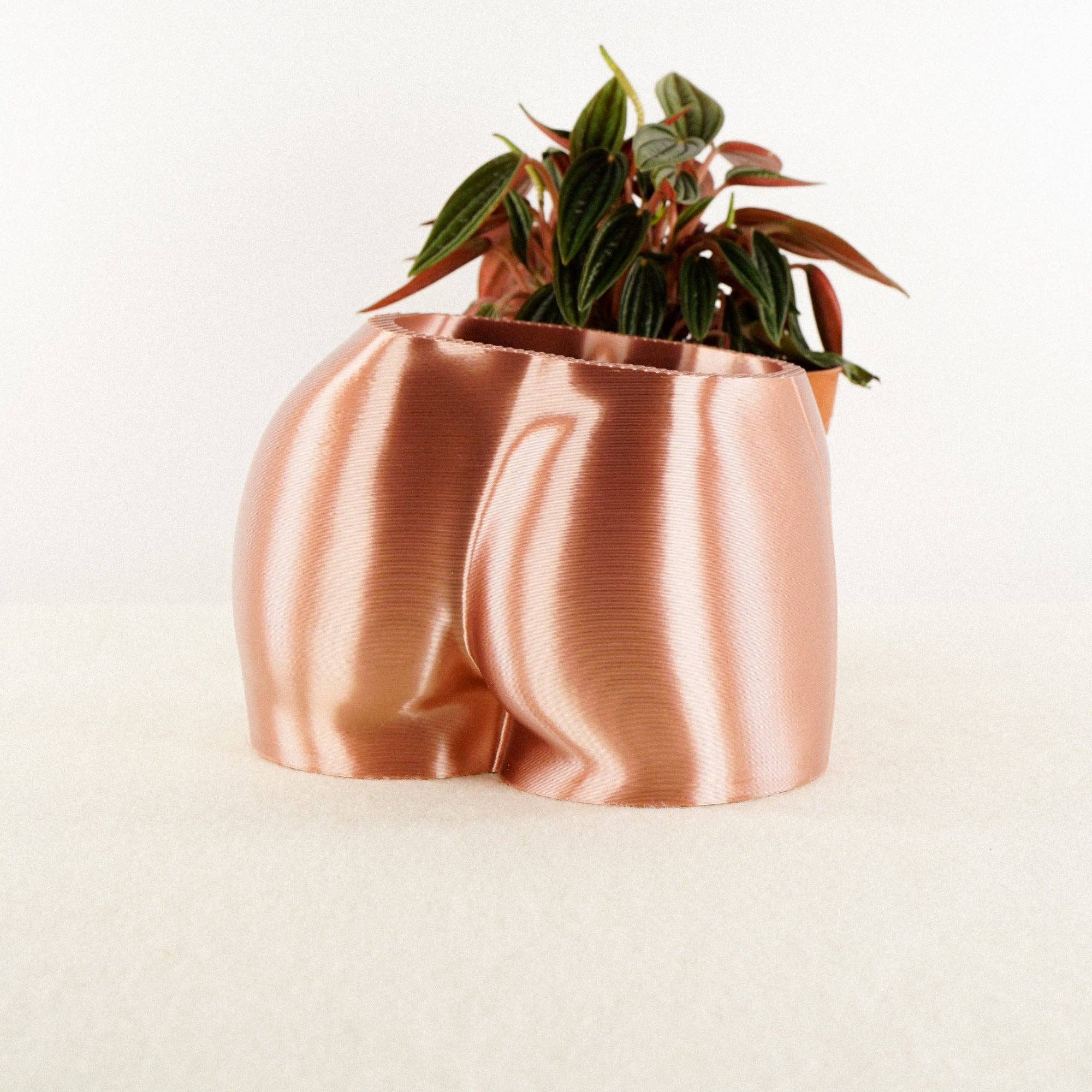 Rosebud Homegoods - Wholesale Plant Pot - Butt Plant Pot with drainage and Drip trays12