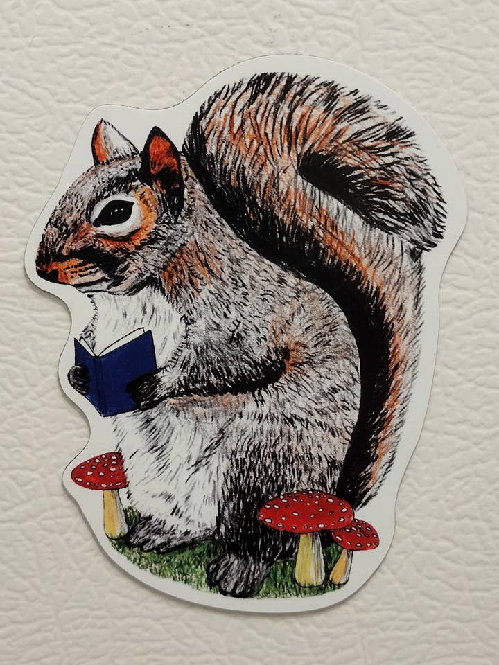 Läser ekorre magnet för wholesale av Tarasance