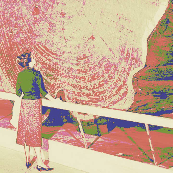 Pictrix Design - Wholesale Thank You Card - "Dendrochronology" A2 birthday card (woman)4