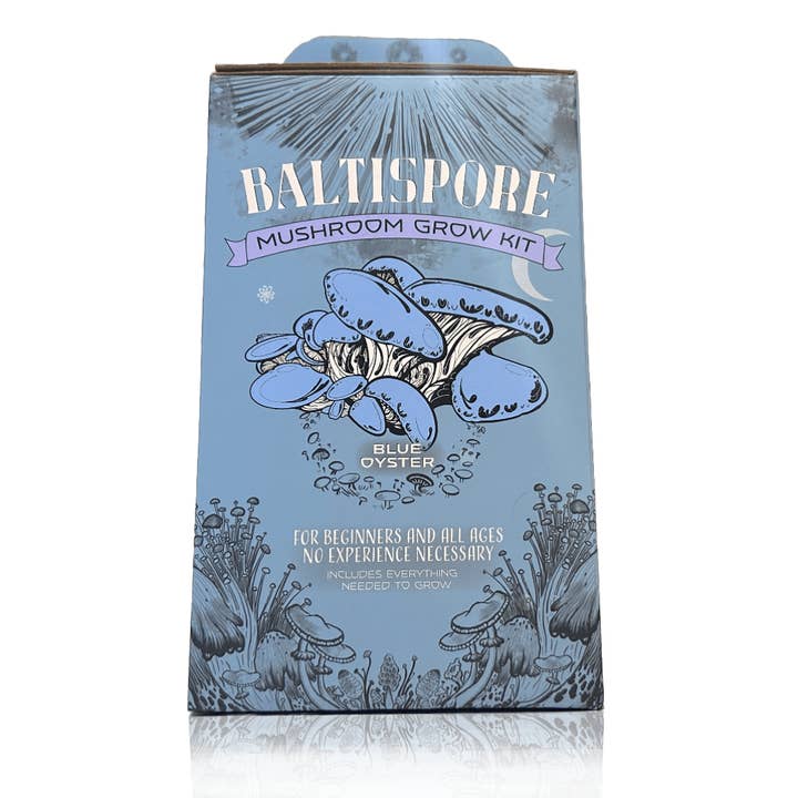 Blue Oyster “Ready-To-Fruit” Mushroom Grow Kit for wholesale by BaltiSpore LLC