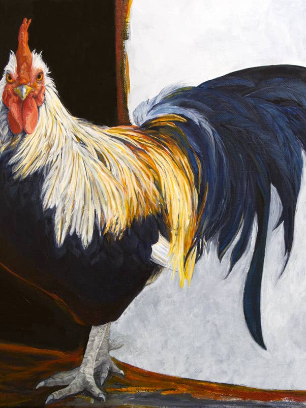 Back In Black - Chicken Print for wholesale by Tracy L Anderson