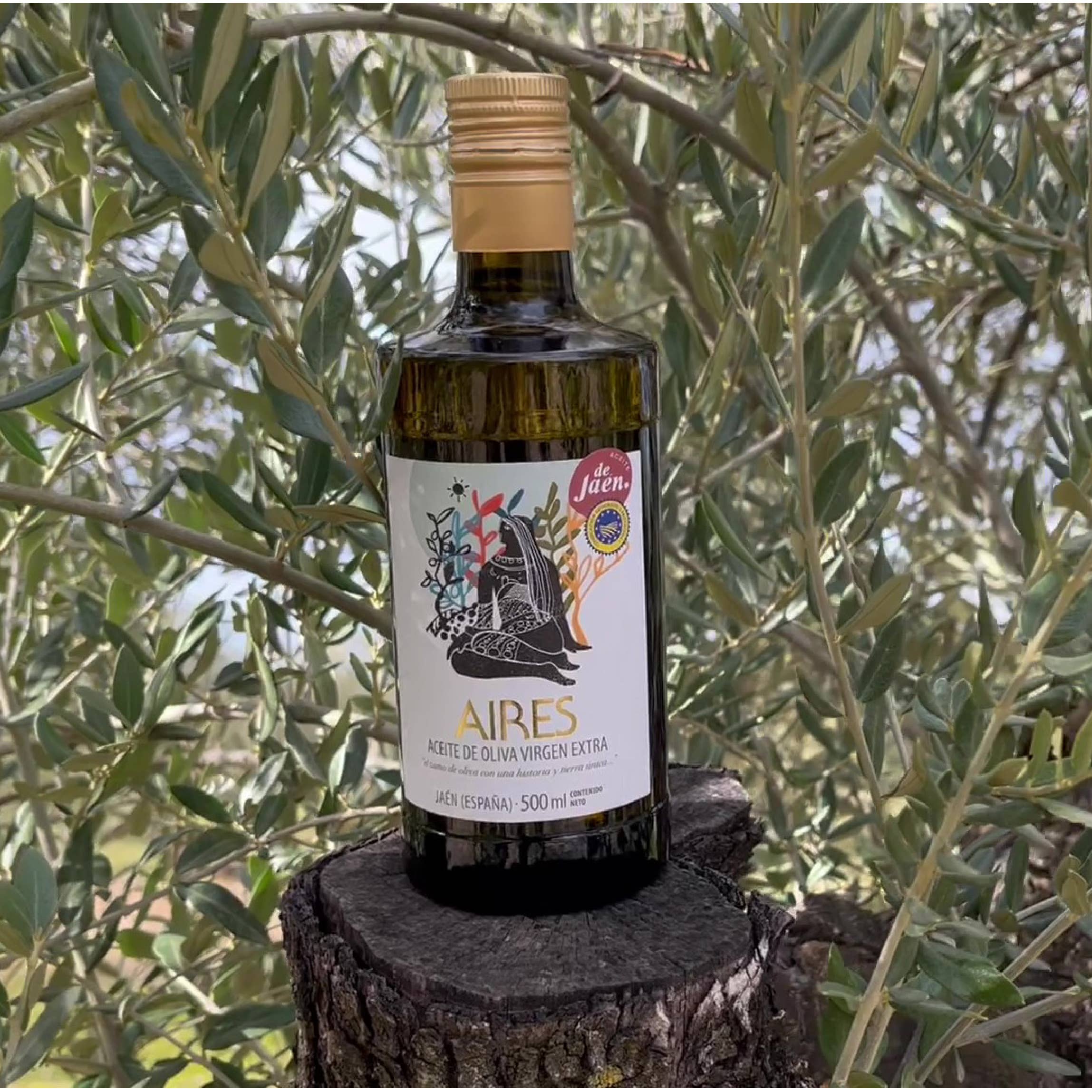 AIRES DE JAEN - Venta al por mayor Aceite de oliva - PACK 6x500ml AOVE Aires con Indicación Geográfica Protediga4