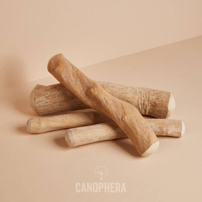 CANOPHERA LLC - Vente Jouet à mâcher – chien - Bâtonnet à mâcher pour chien en bois de café.9