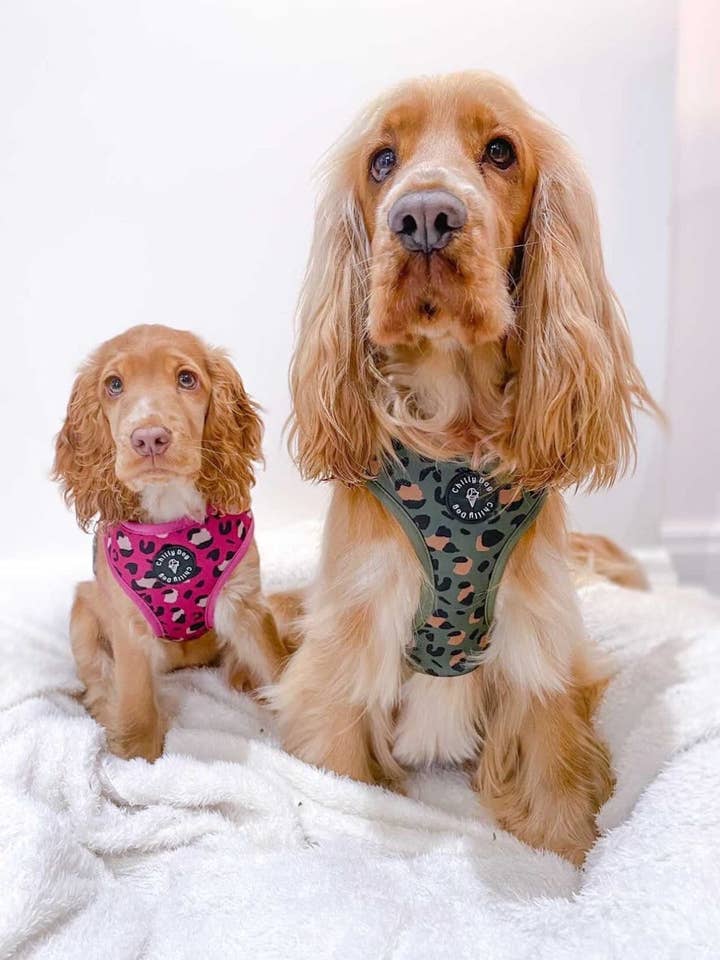 Pink Winter Jewel Puppy Dog Harness for wholesale by Chilly Dog