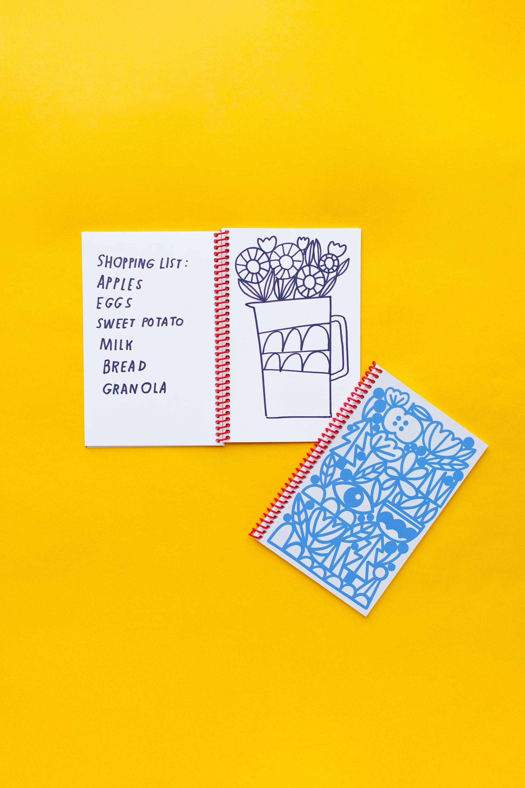 Lisa Congdon Art & Illustration - Wholesale Journal/Diary - Blank Journal with Red Spiral - Manzanita Blue4