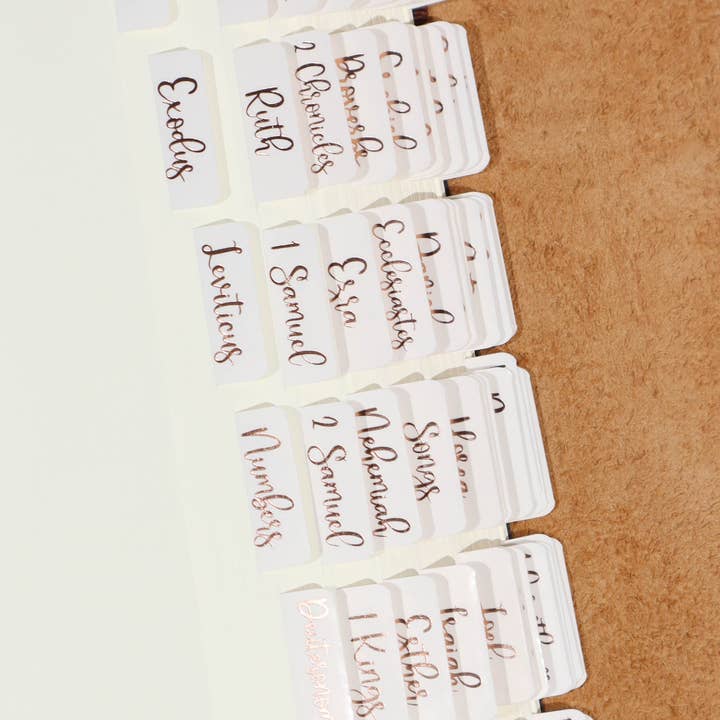 Idyllic Grace - Wholesale Book - Adult - Creamsicle Bronze Foiled Bible Tabs