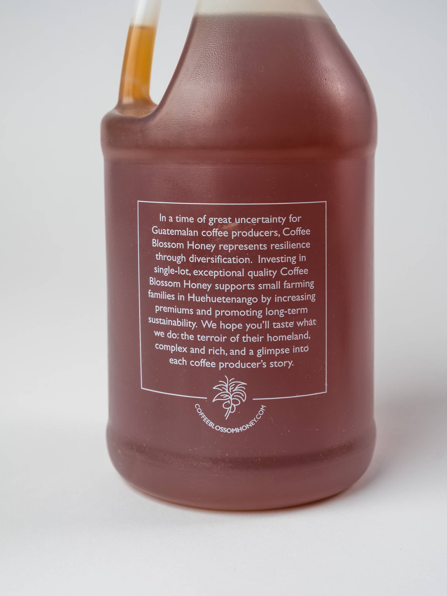 Coffee Blossom Honey - Wholesale Honey - Cafe Starter Kit15