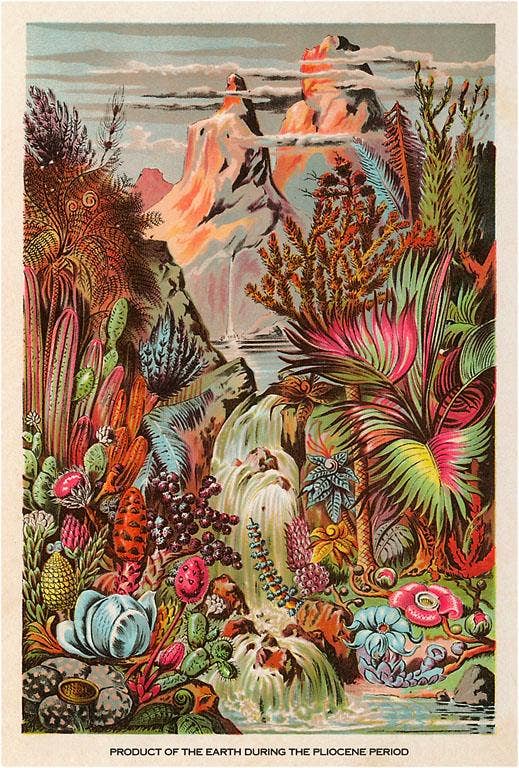 Found Image Press - Wholesale Sticker - Sticker SE-127 Pliocene Period0