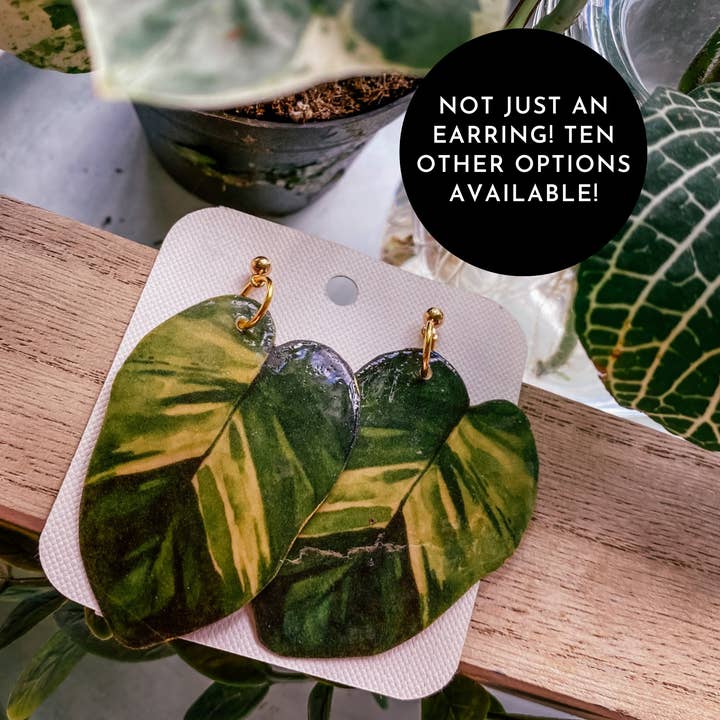 Boucle d'oreille dorée en forme de feuille de pothos, aimant, épingle, décoration pour la vente par hethr
