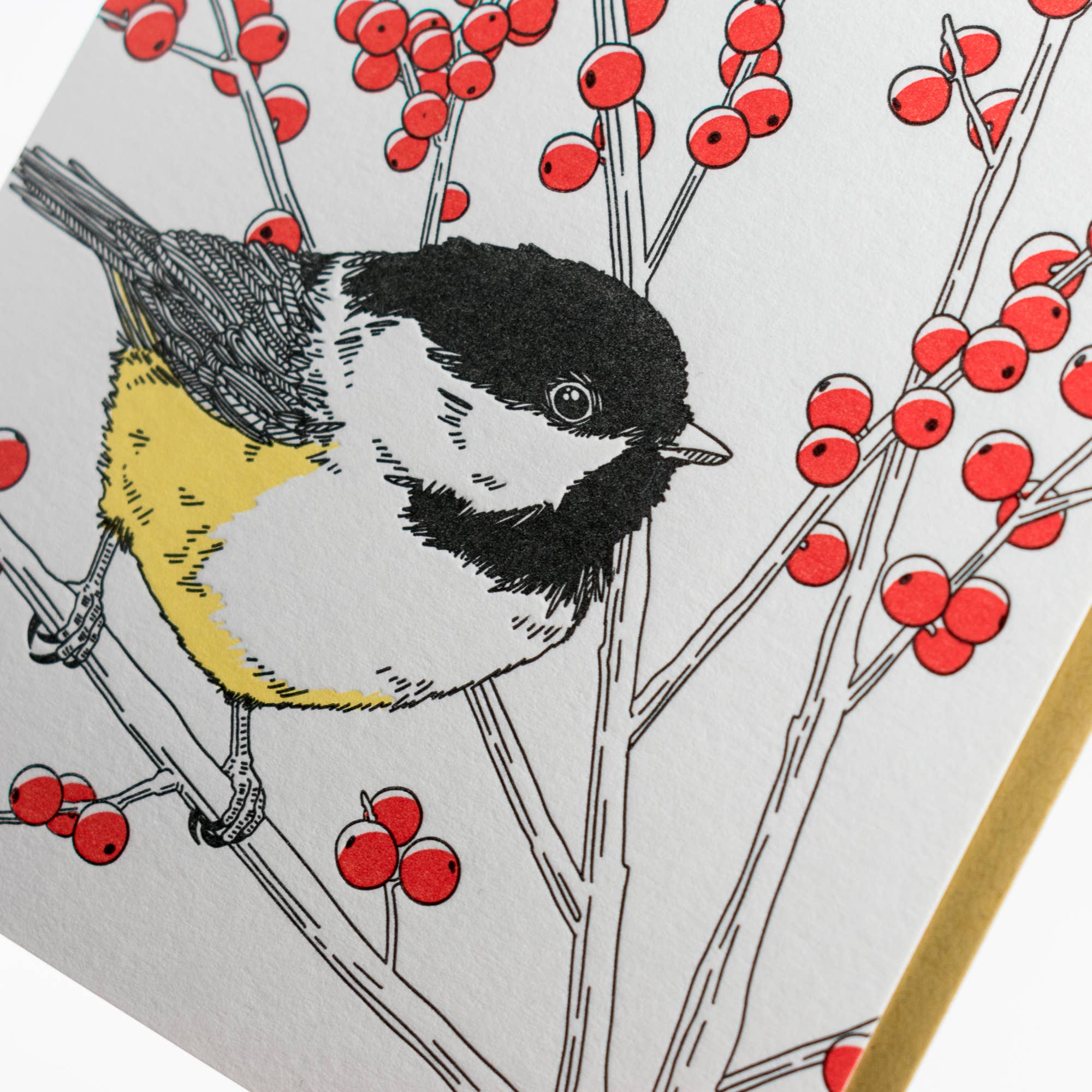 Porchlight Press Letterpress – wholesale Everyday greeting card – Black-capped Chickadee Card3