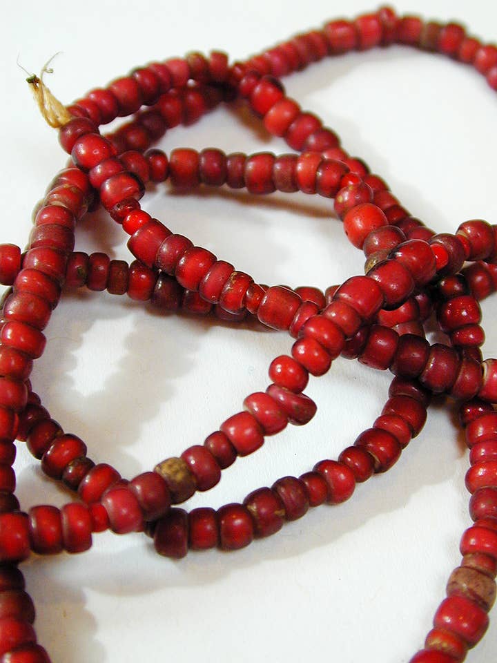 Whitehearts for wholesale by Tika