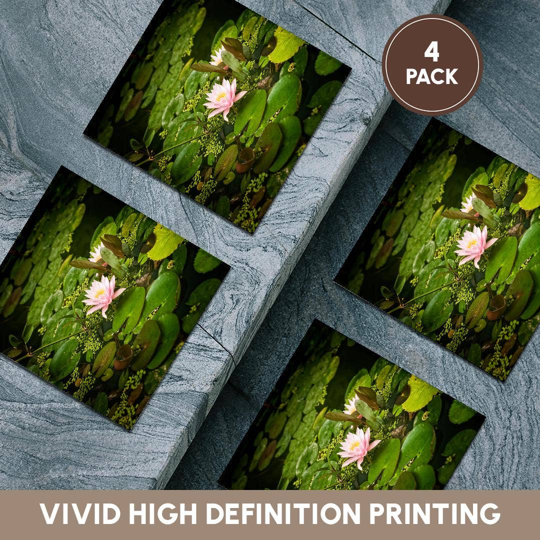 3dRose - Wholesale Coasters - 3dRose, Beautiful pink water lily flower in an artificial pond, Coaster5