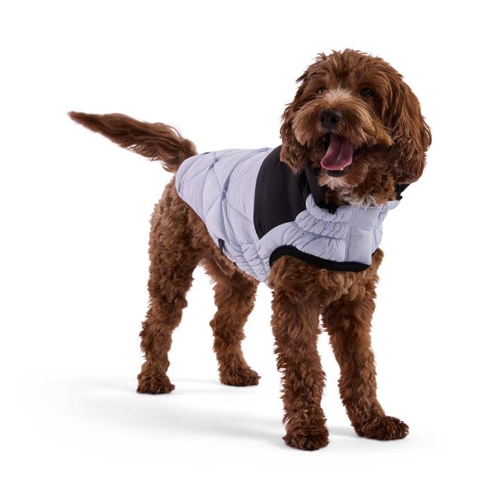 GF Pet - Wholesale Pet Coat - Dog - Diamond Puffer6