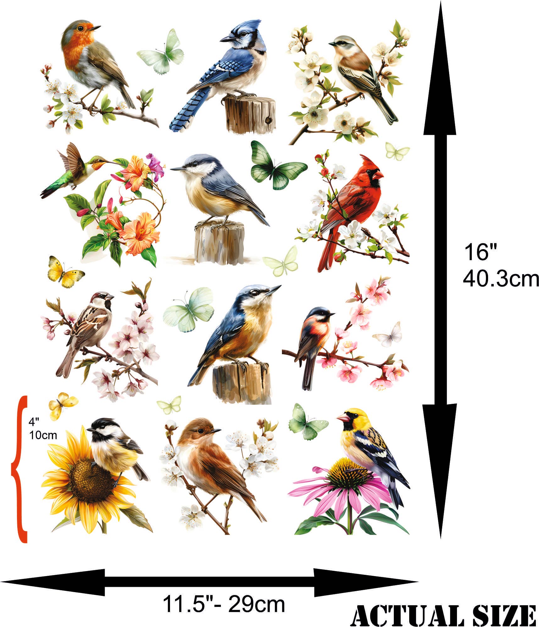 Craft Kreatively - Wholesale Craft Supplies - Garden Birds Decoupage Rice Paper - A3+ - for Crafts1