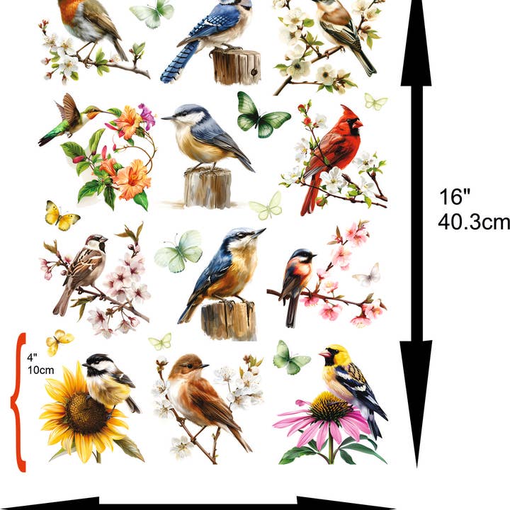 Craft Kreatively - Wholesale Craft Supplies - Garden Birds Decoupage Rice Paper - A3+ - for Crafts1