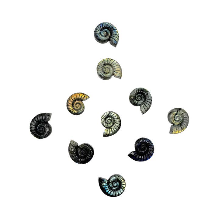 Foliesbijoux - Wholesale Individual Charm/Pendant - Ammonite flat pierced pendant 4.5 x 3.5 cm pierced on the side1