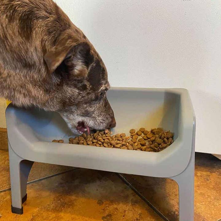 Fluff Trough - Venta al por mayor Comedero - Gatos y perros - Juego de insertos de silicona Fluff Trough XL3