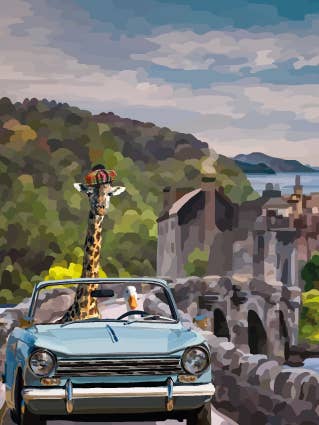 135C Touring / funny card / classic car / giraffe /landscape for wholesale by Periodic Society