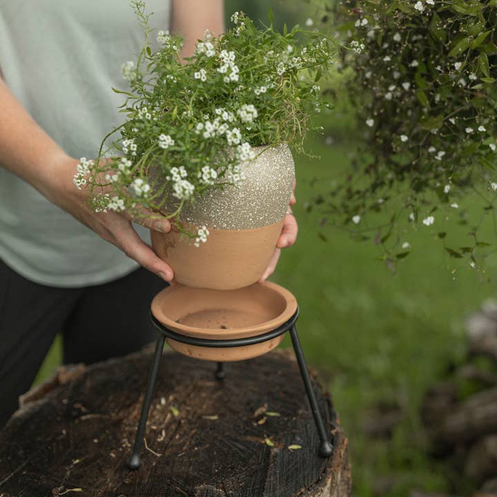 Foreside Home & Garden - Wholesale Plant Pot - Bryce Terracotta Planter Saucer Stand Set 3 Tan Splatter