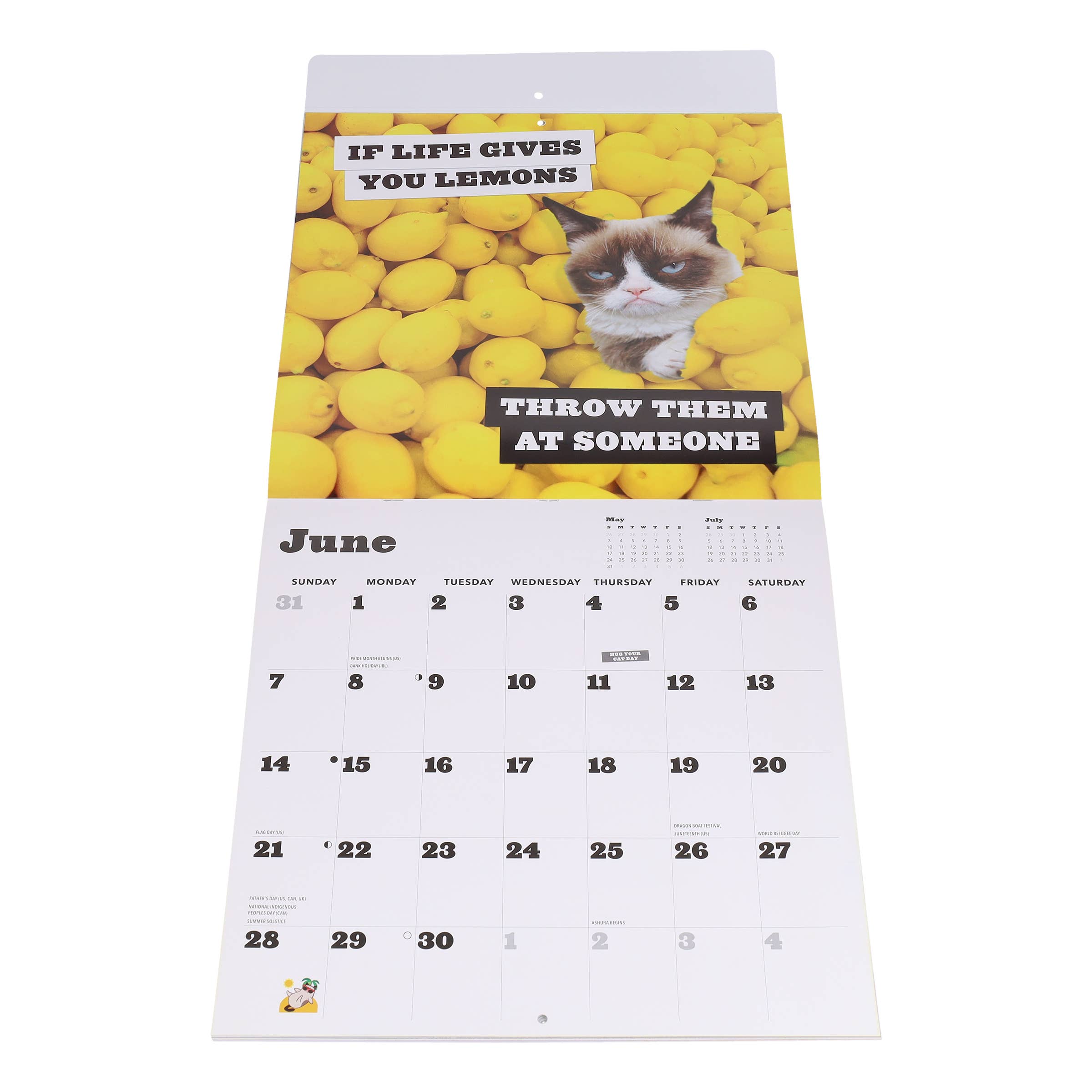 Chronicle Books - Wholesale Calendar - Grumpy Cat 2026 Wall Calendar7