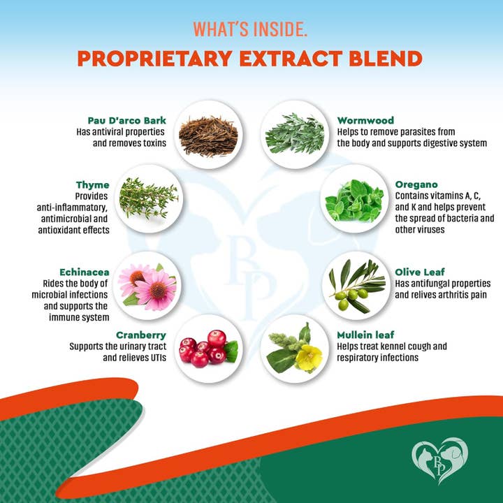 Beloved Pets - Wholesale Pet Supplement - Cat/Dog - Beloved Pets Natural Herbal Antibiotics for Cats and Dogs