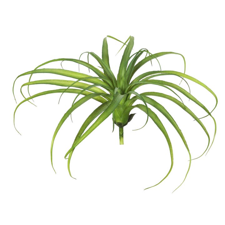 Tige artificielle en gazon vert givré Vickerman de 14 po, ensemble de 3 pour la vente par Vickerman