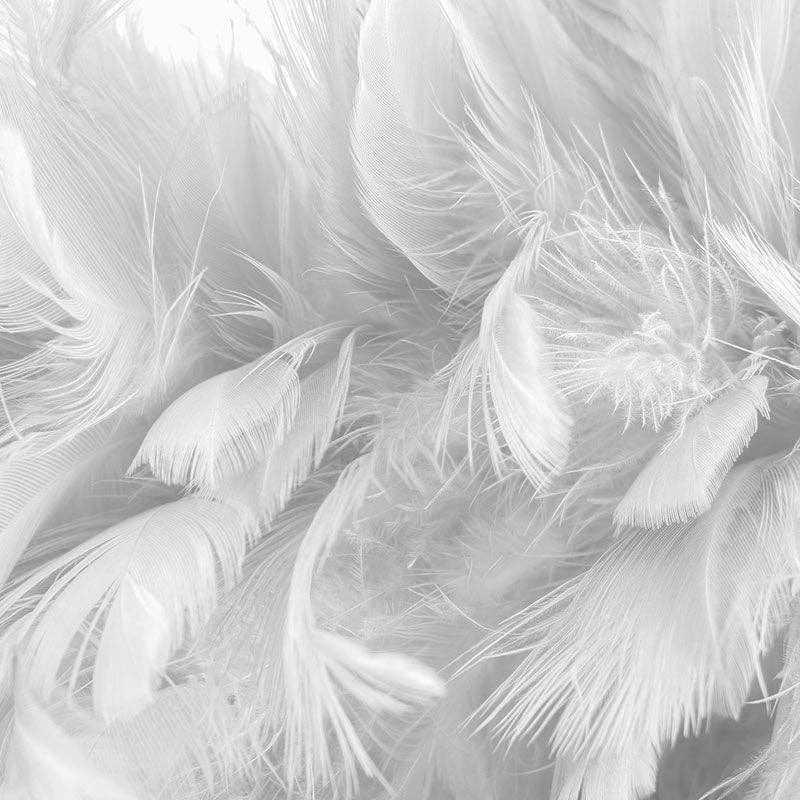 BHD HOME - Vente Housse de coussin - Insert en plumes8