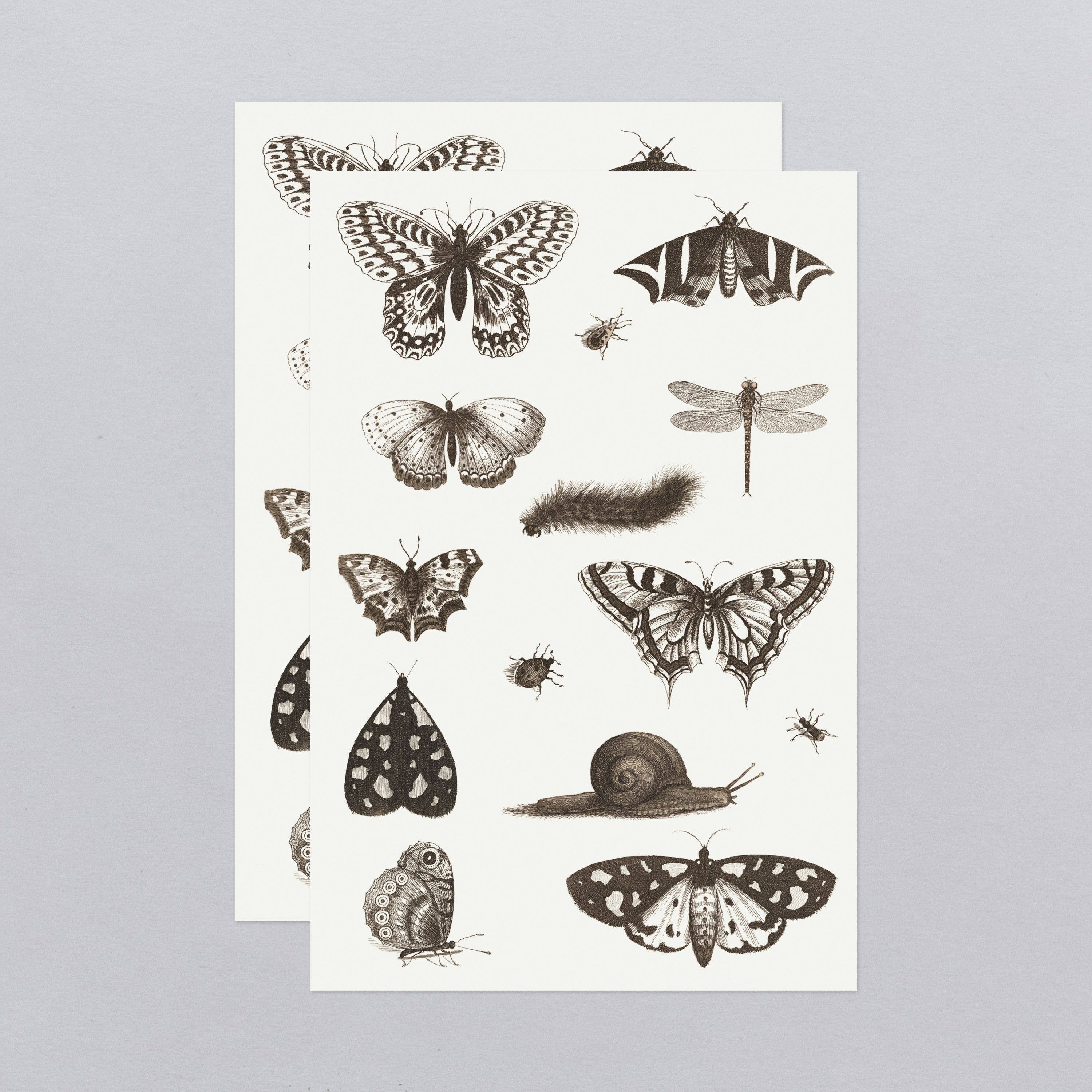 Tattly - Vente Tatouages temporaires - Feuille de tatouage NGA Insects3