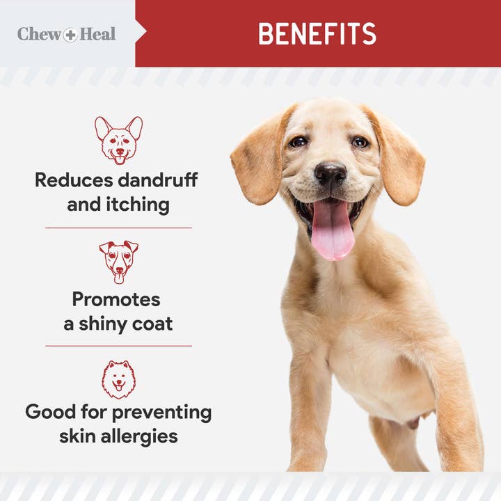Chew + Heal - Wholesale Pet Supplement - Dog - Omega Skin & Coat Soft Chews - Smoked Bacon Flavor