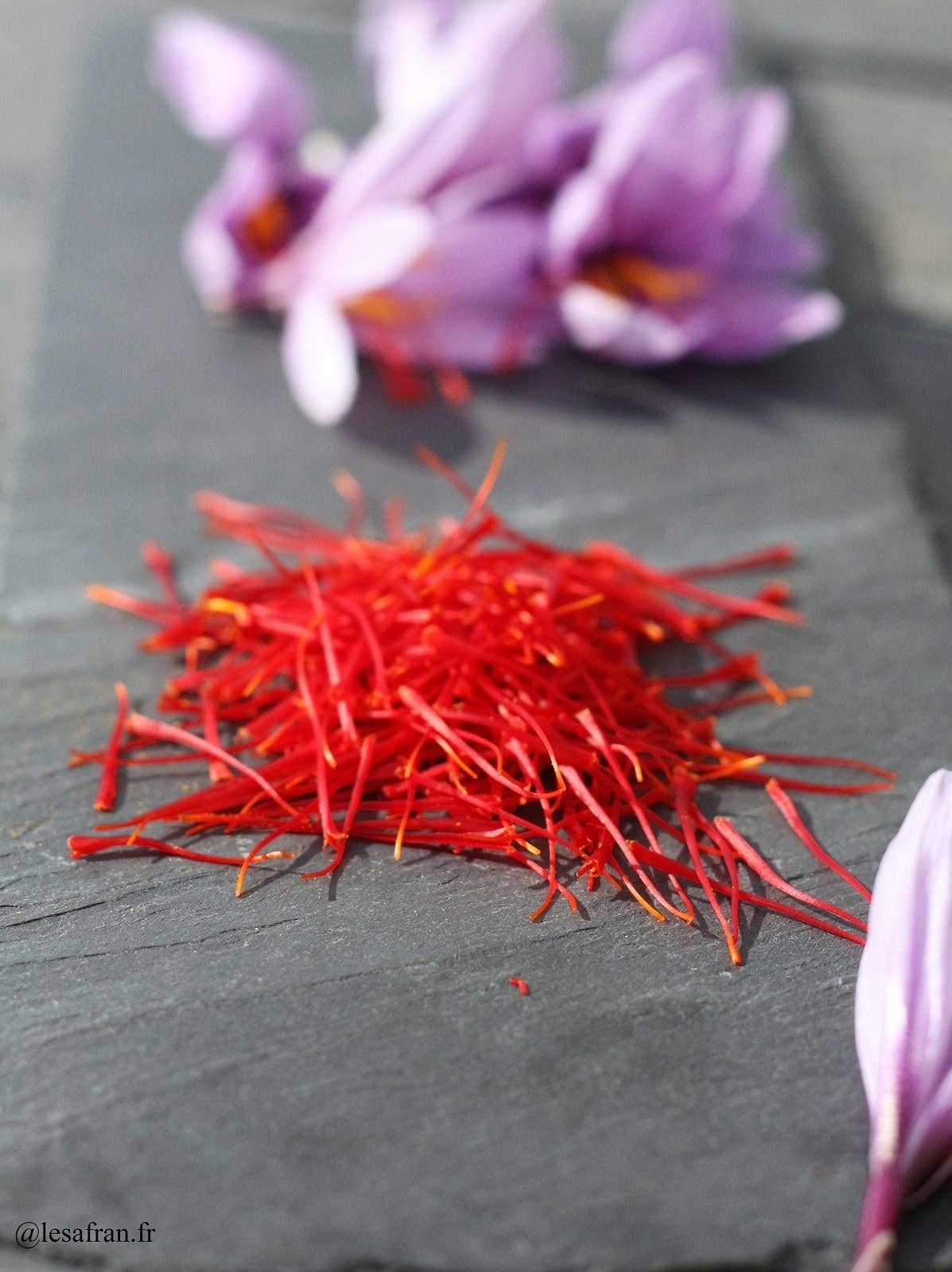 Le Safran – Großhandel Gesundheits-/Entgiftungstee – Bio Weißer Tee Vanille-Fleurs-Safran,100g2