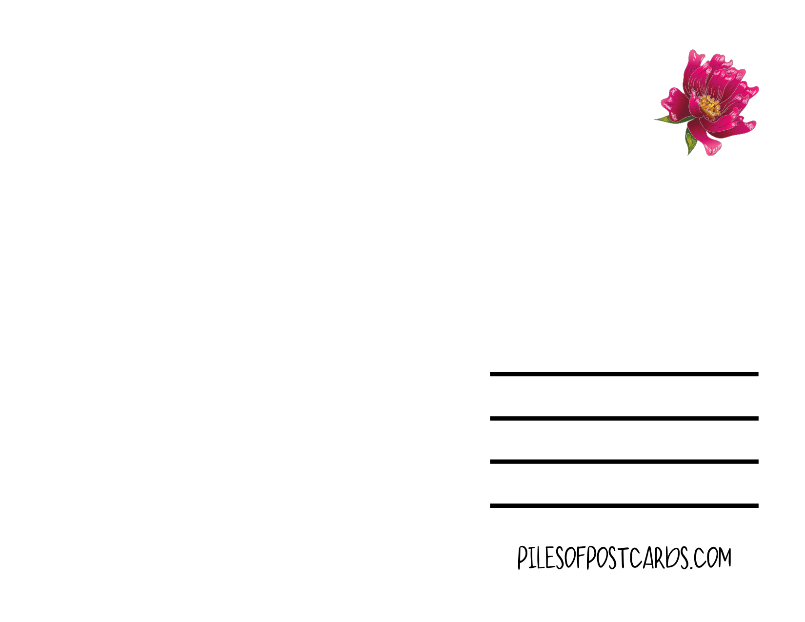 Piles of Postcards - Wholesale Postcard - Austin Texas Decorated with Flowers Postcard2