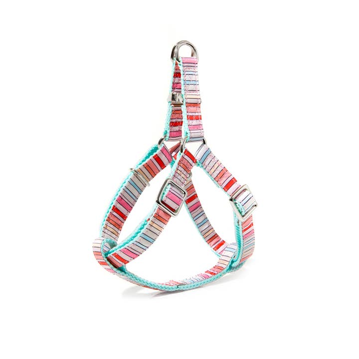 Roxy & Co. Canine Accessories - Wholesale Pet Harness - Dog - BRANDI STRIPE DOG HARNESS