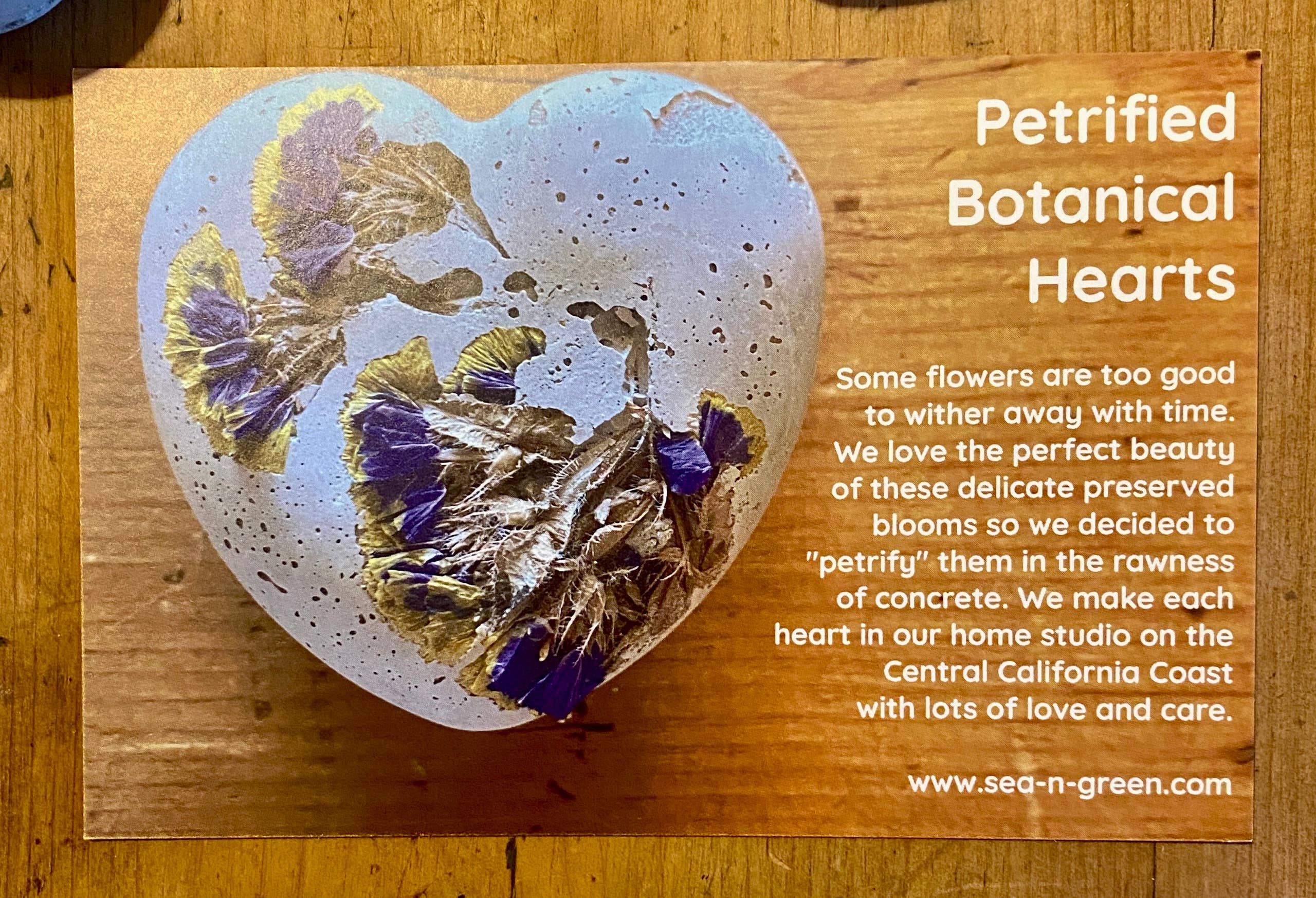 Sea + Green - Wholesale Paper Weight - Concrete Dried Flower Heart Love Valentines Day Wedding3