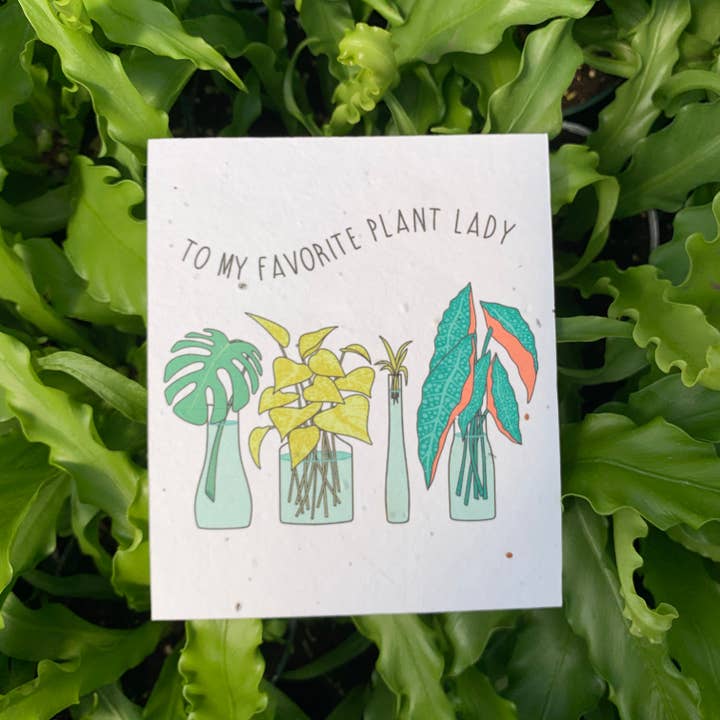 Seeds of Paper – Großhandel Geburtstagskarten – Set mit Pflanzen-Themen-Karten2