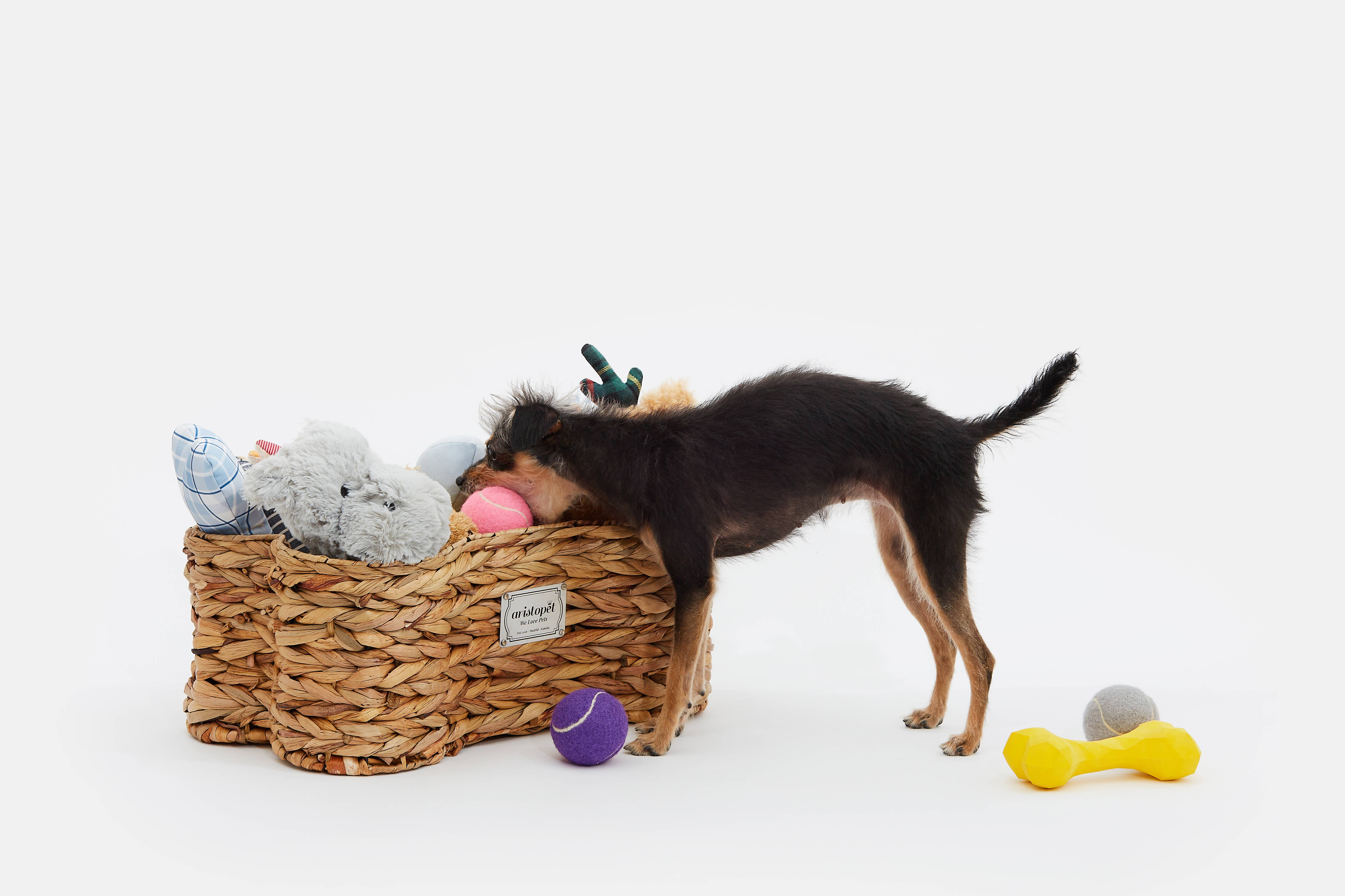 ARISTOPET - Vendita all'ingrosso Portagiocattoli per animali - Cesta porta giocattoli per animali a forma di osso7