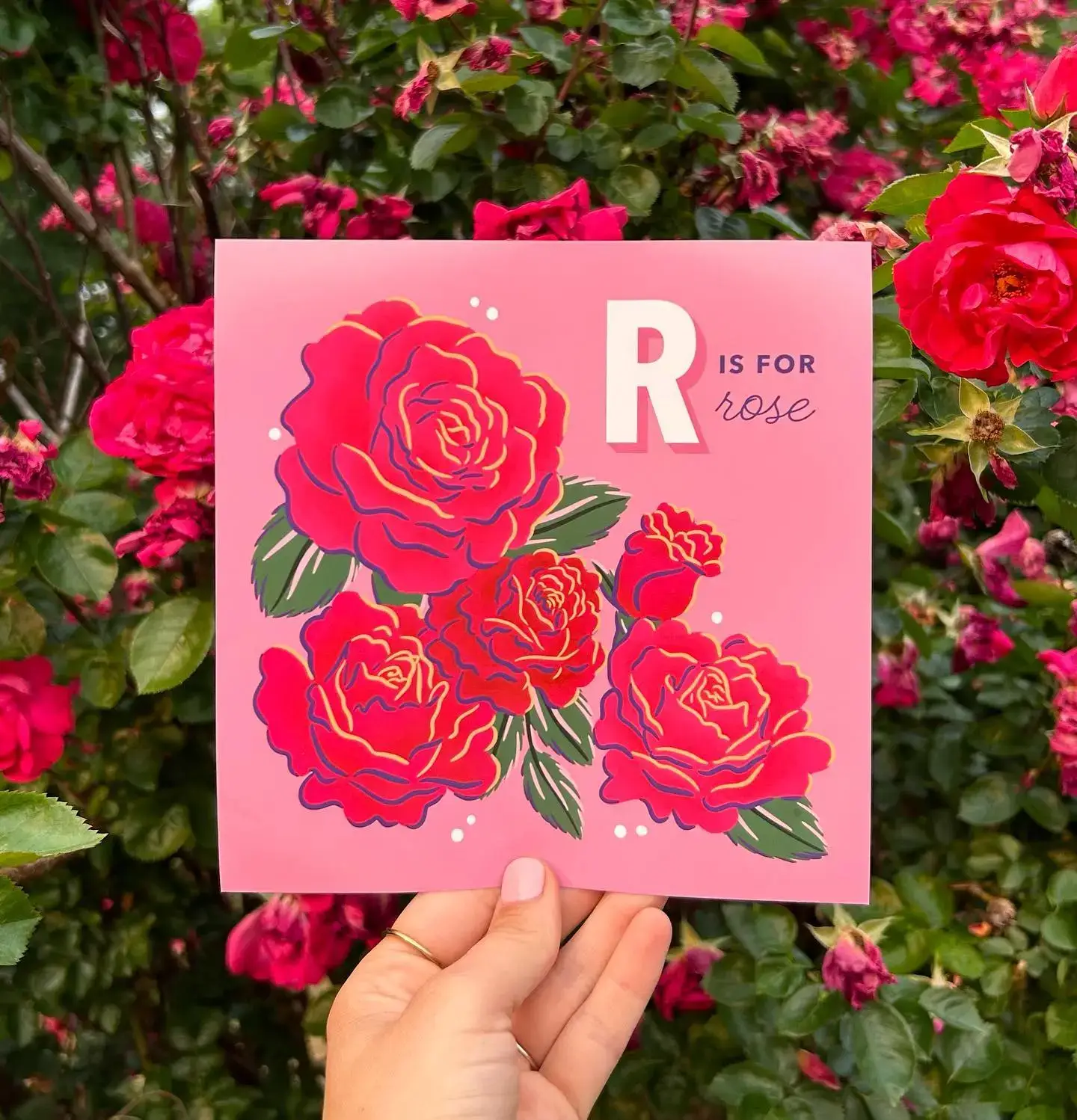 Piccolo Press - Wholesale Preschool Book (3-5) - The Alphabet in Bloom 2