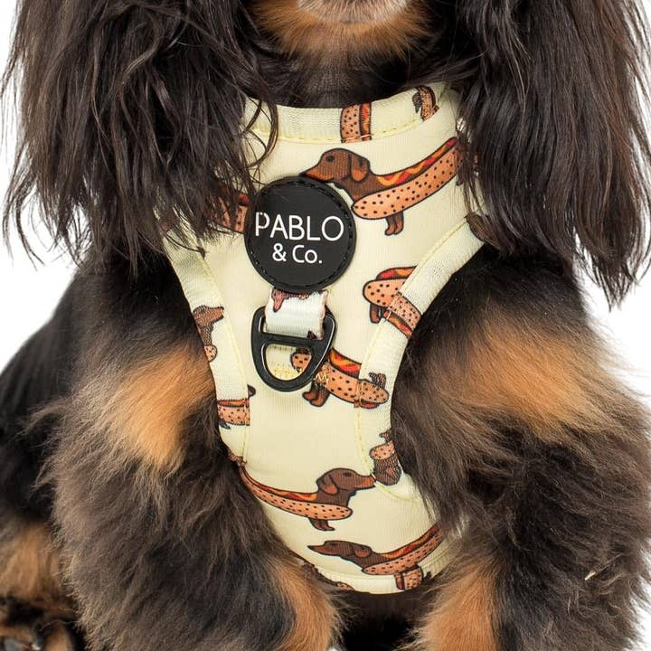 WIENER DOGS: ADJUSTABLE DOG HARNESS for wholesale by Pablo & Co. Boutique
