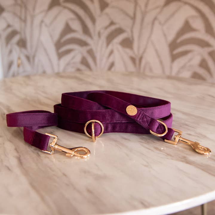 Floofs and Cookies - Wholesale Pet Leash - Dog - Bibi leash adjustable0