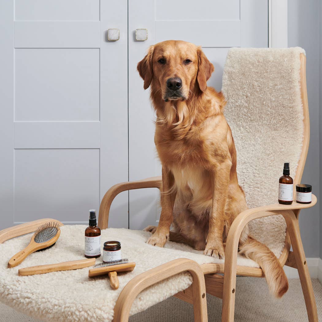 Sweet William Designs – wholesale Pet brush – Cat/dog – Dog Grooming - Bamboo slicker brush3