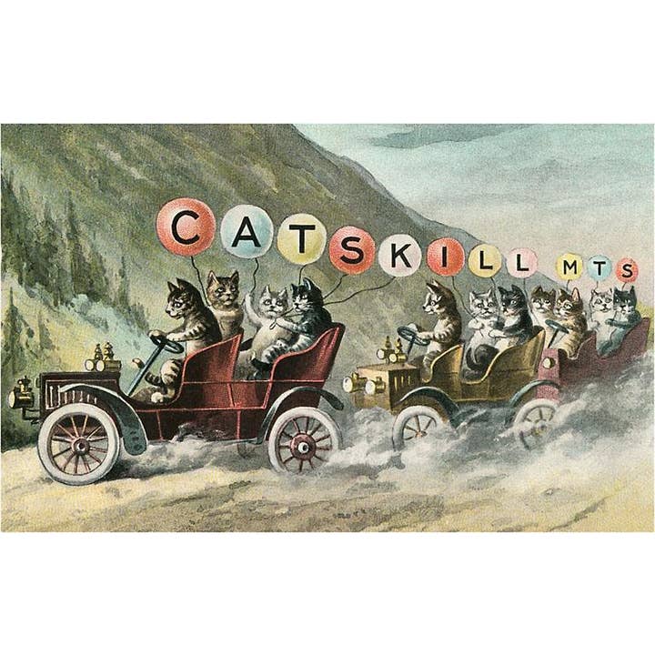 Found Image Press - Wholesale Postcard - Postcard NS-671 Cats in Cars, Catskill Mountains, New York