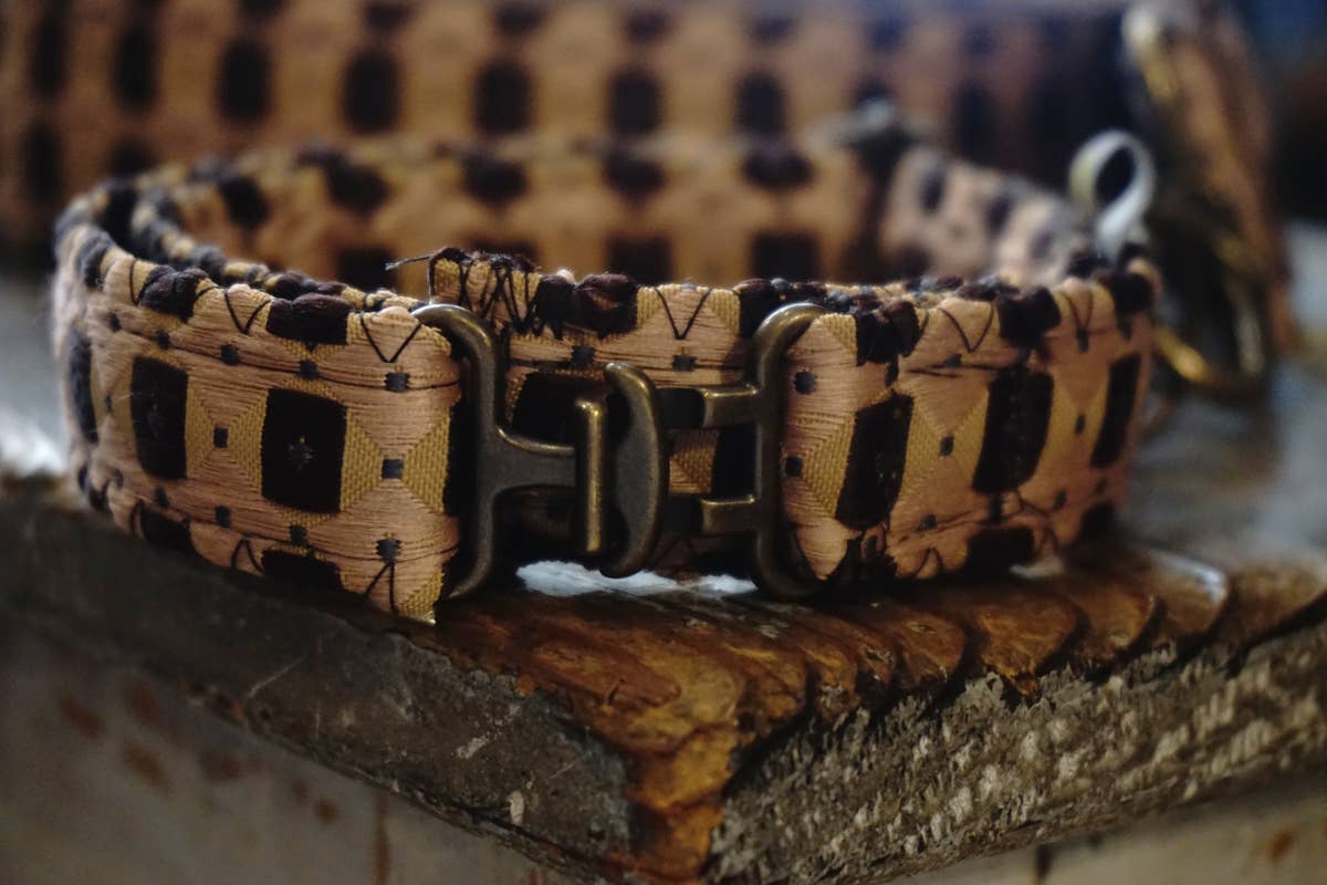 hundsfutter - Vendita all'ingrosso Collare - Cani e gatti - Collare con guinzaglio Fran