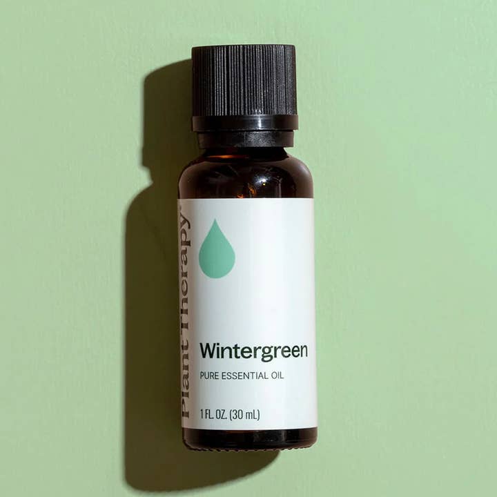 Plant Therapy - Wholesale Essential Oil - Wintergreen Essential Oil 30 mL1