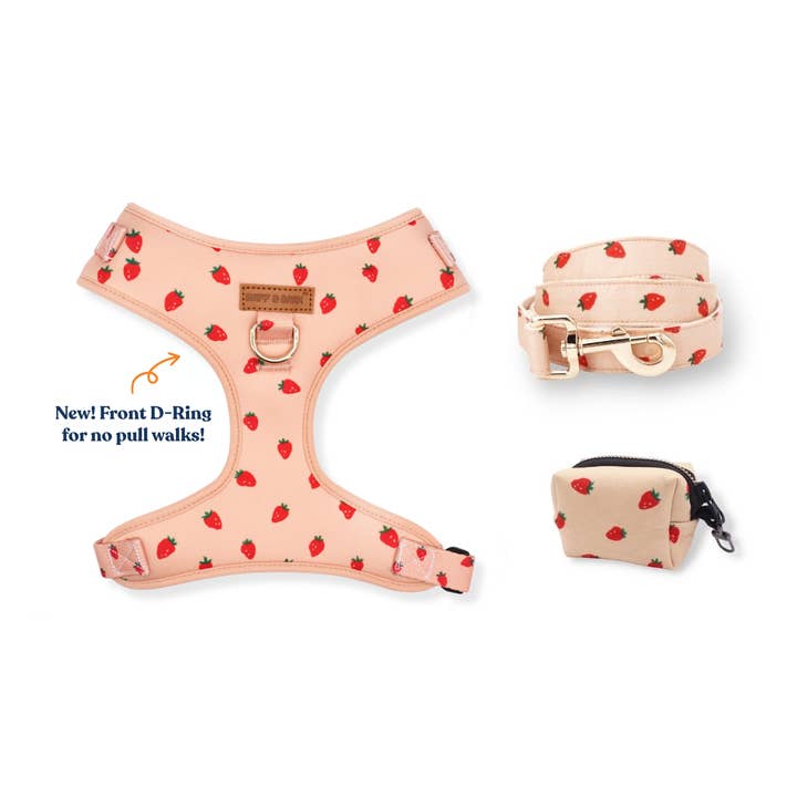 Conjunto de Arnês Rosie Strawberry AllSet™ (Anel D) por atacado de Sniff & Bark