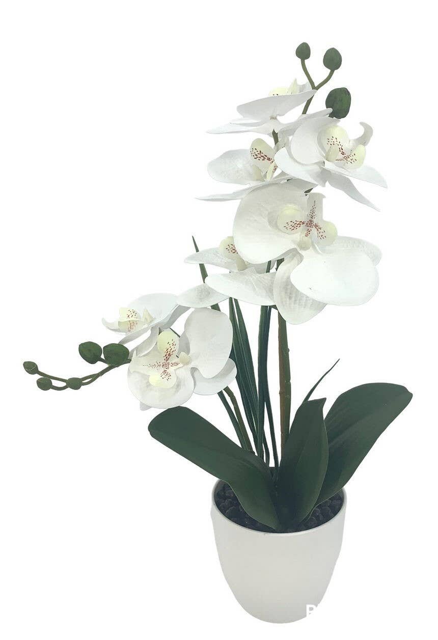 Aguilar Málaga - Wholesale Artificial Flowers - Orchid Center Tact Nat. Cream 40cm0