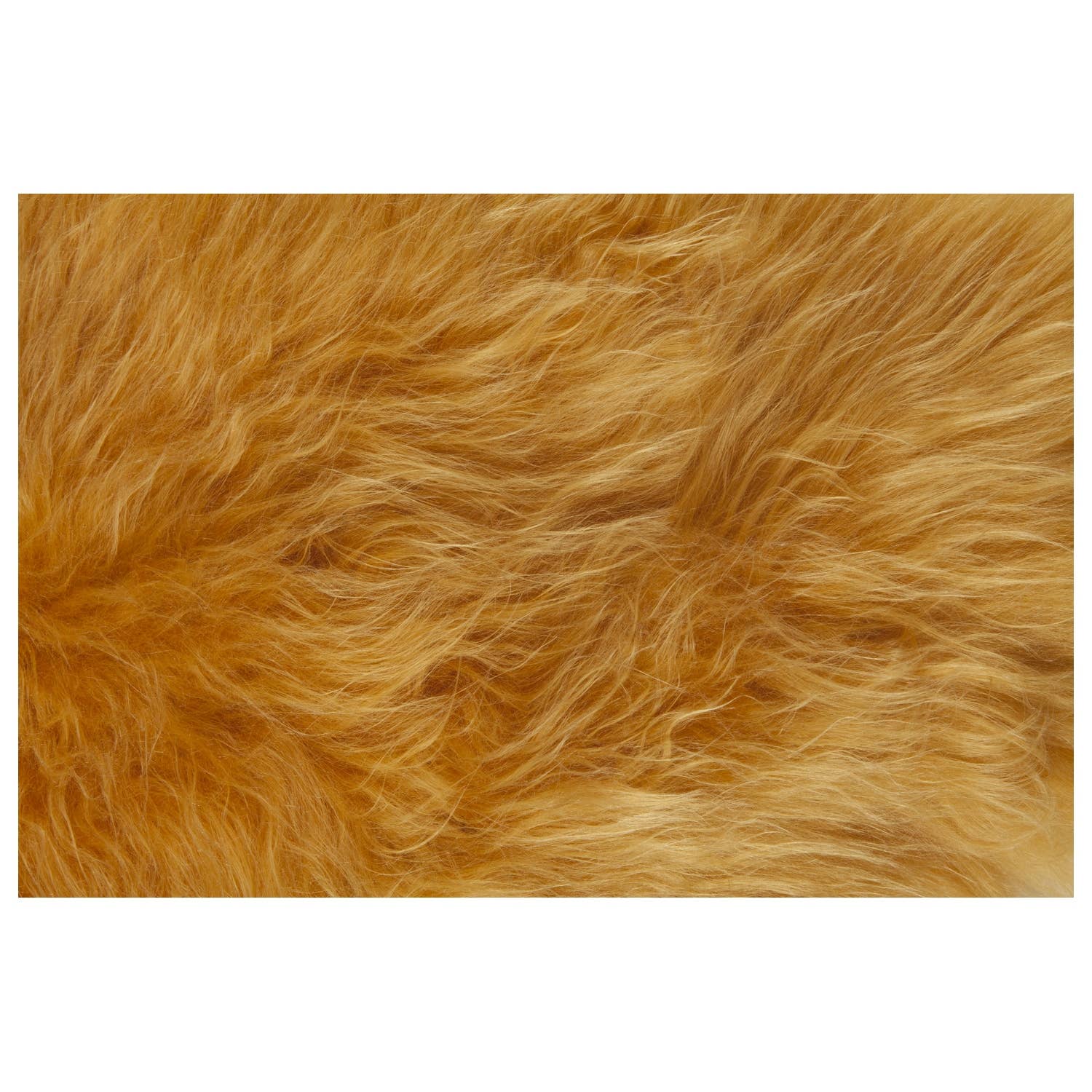 DYRESKINN® - Wholesale Area Rug - Sheepskin Icelandic yellow 90-110cm3