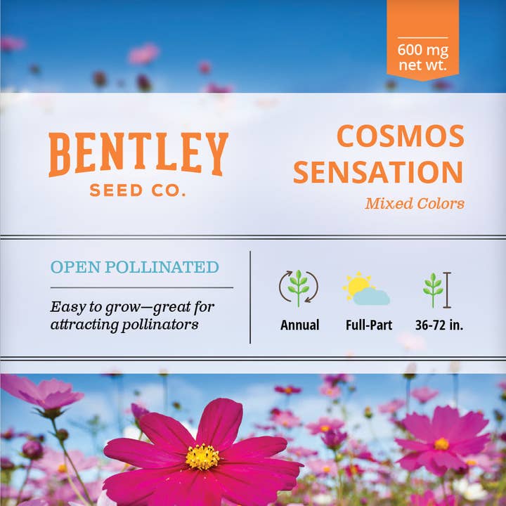 Bentley Seed Co. - Wholesale Plant Seeds - Cosmos Sensation-Mixed Colors-Cosmos Bipinnatus