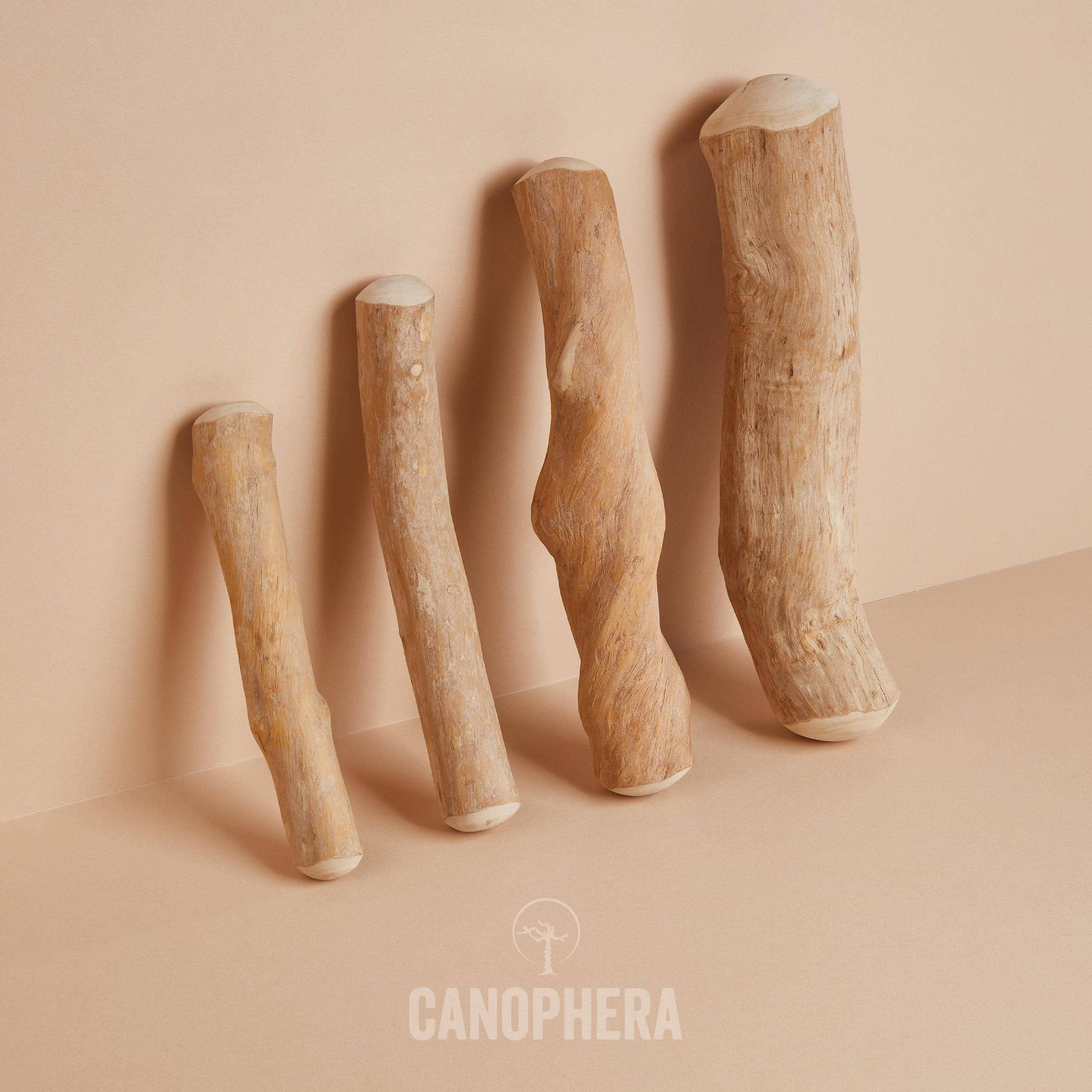 CANOPHERA GmbH - Wholesale Pet Chew Toy - Dog - Dog Chew Stick Made of Coffee Wood.10