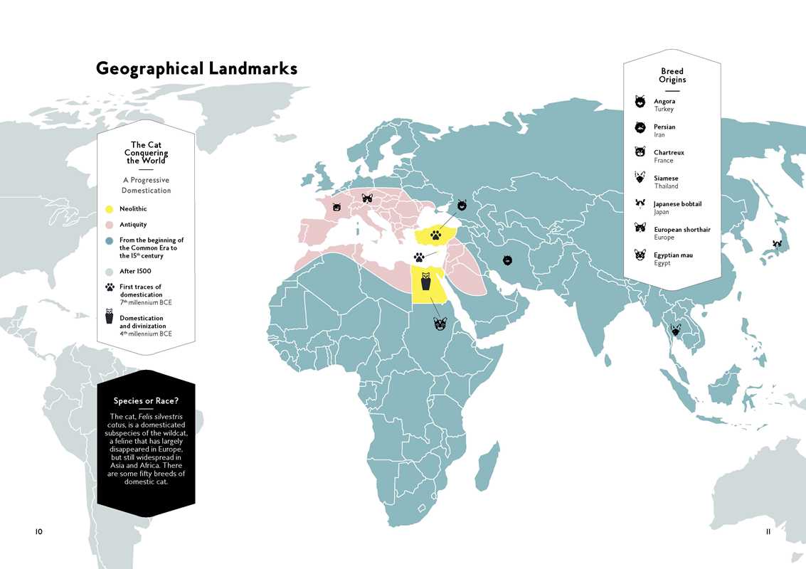 Simon & Schuster - Wholesale Arts & Entertainment - Cats in Art by Alix  Paré2