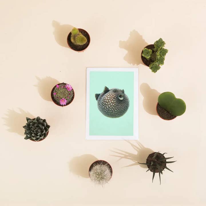 Hidden Planet – wholesale Everyday greeting card – Lessert's Rainbow Spider Greetings Card1